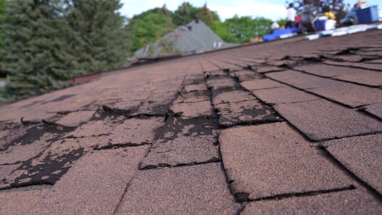 Best Storm Damage Roof Repair  in Short Pump, VA